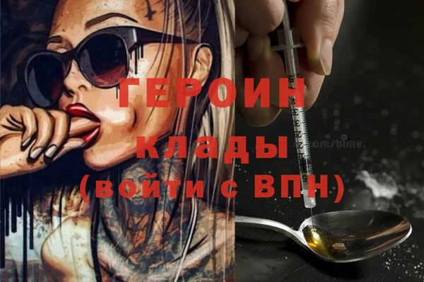 прущий лед Бородино