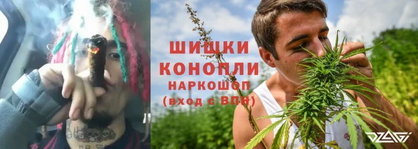 прущий лед Бородино