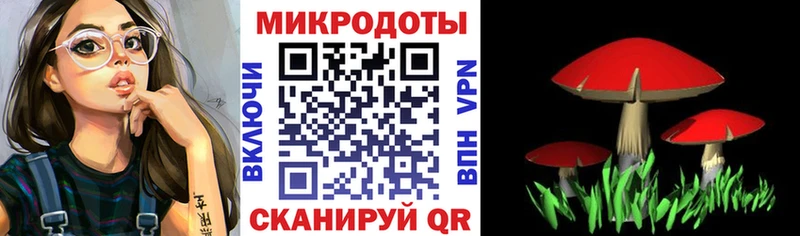 mega ССЫЛКА  даркнет сайт  Кизляр  Псилоцибиновые грибы мицелий 
