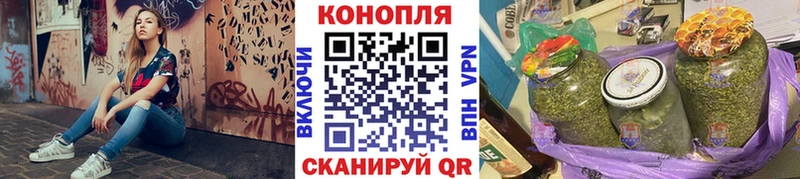 Каннабис сатива  Кизляр 